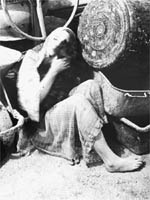 Agnes Keil, Kellerkrper - Detail - Keil mit Keil